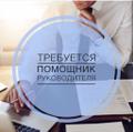 Помощник руководителя