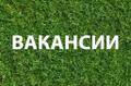 Менеджеры в онлайн - офис