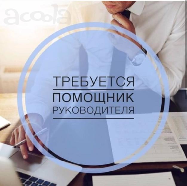 Помощник руководителя