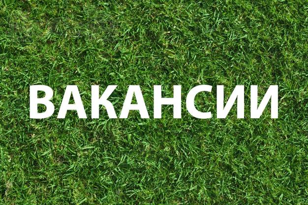 Менеджеры в онлайн - офис